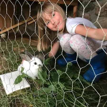 Letniskowy U Izy Łeba