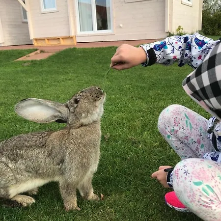 Κάμπινγκ Letniskowy U Izy