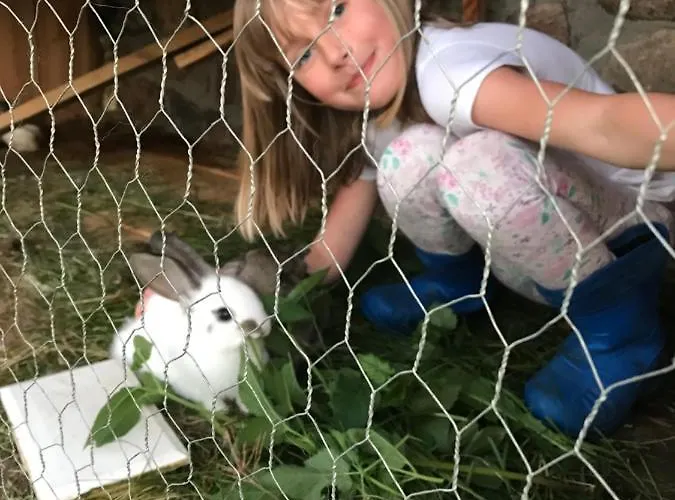 Letniskowy U Izy Łeba