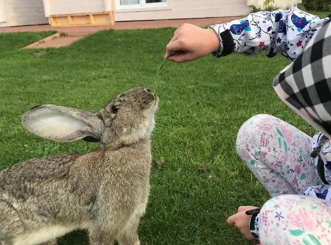 Kemping Letniskowy U Izy